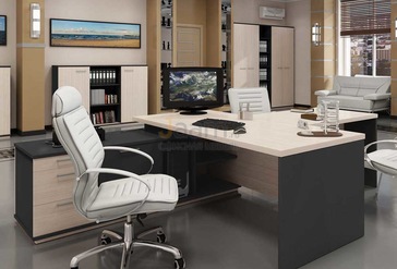 Кабинет руководителя Сенатор