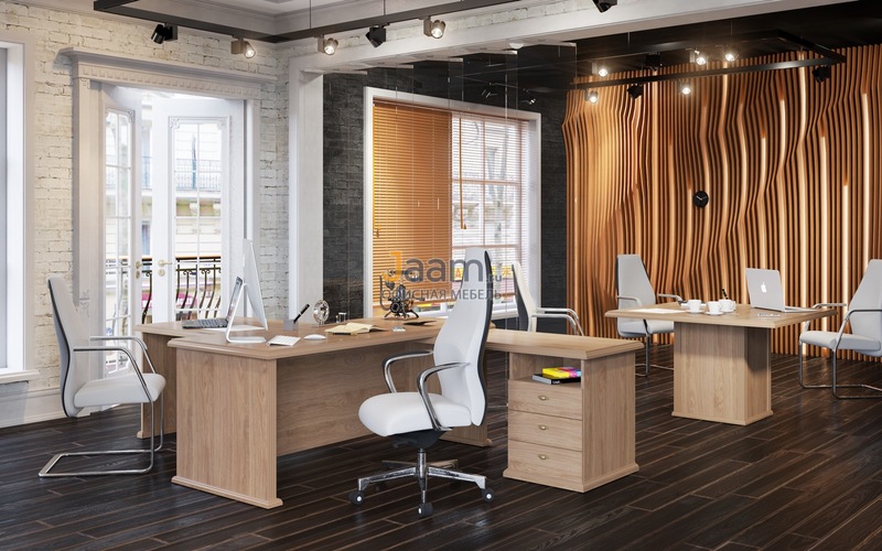 Кабинет руководителя RAUT