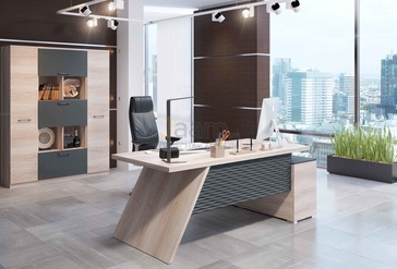 Кабинет руководителя IRVIN