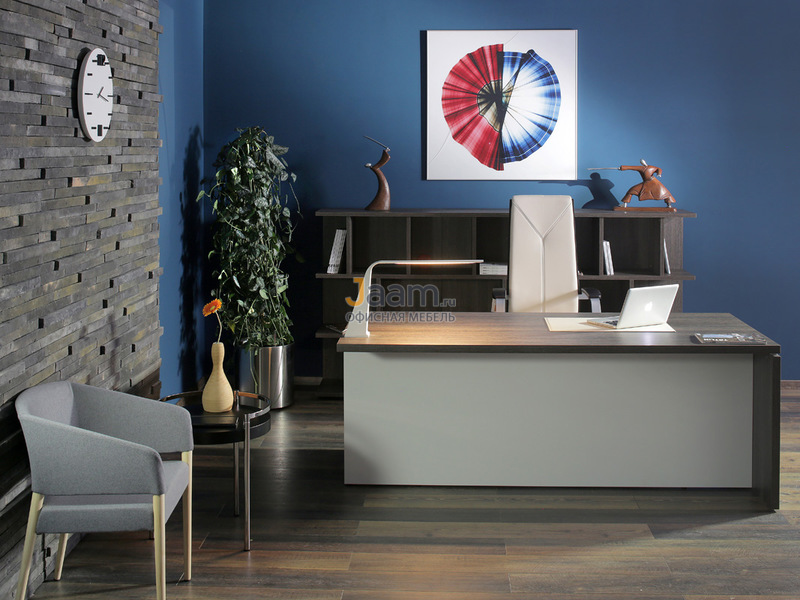 Кабинет руководителя Terra