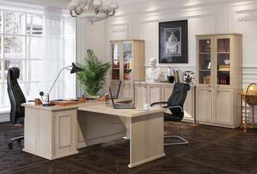 Кабинет руководителя RAUT