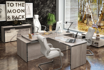 Кабинет руководителя TORR