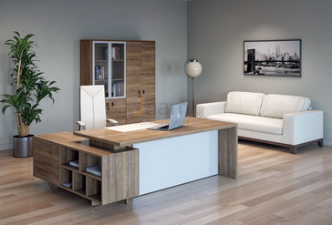 Кабинет руководителя Terra