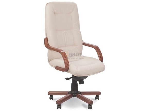 Кресло Senator Extra A DMS